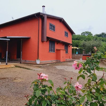 Country House Dolce Nocciola Vignanello Экстерьер фото
