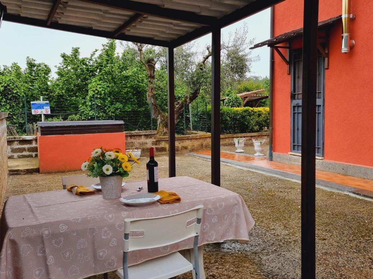 Country House Dolce Nocciola Vignanello Экстерьер фото