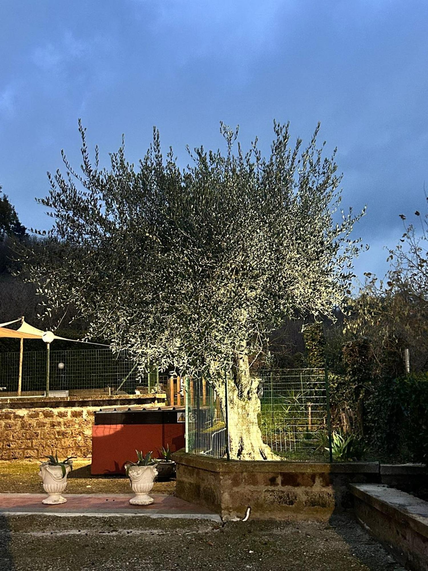 Country House Dolce Nocciola Vignanello Экстерьер фото